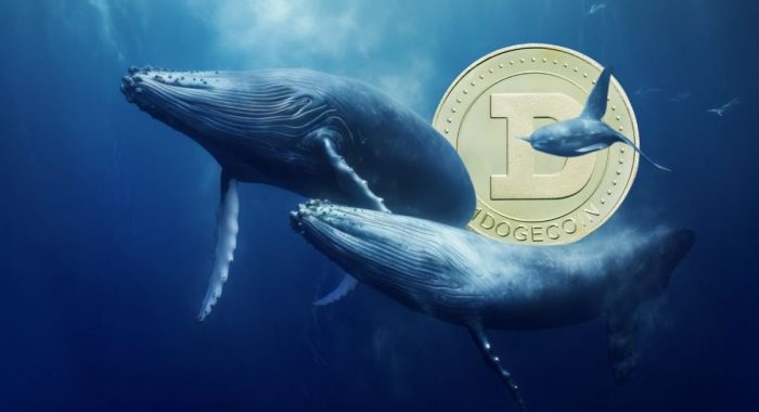 Криптокиты продали 9% своих запасов монет-мемов Dogecoin