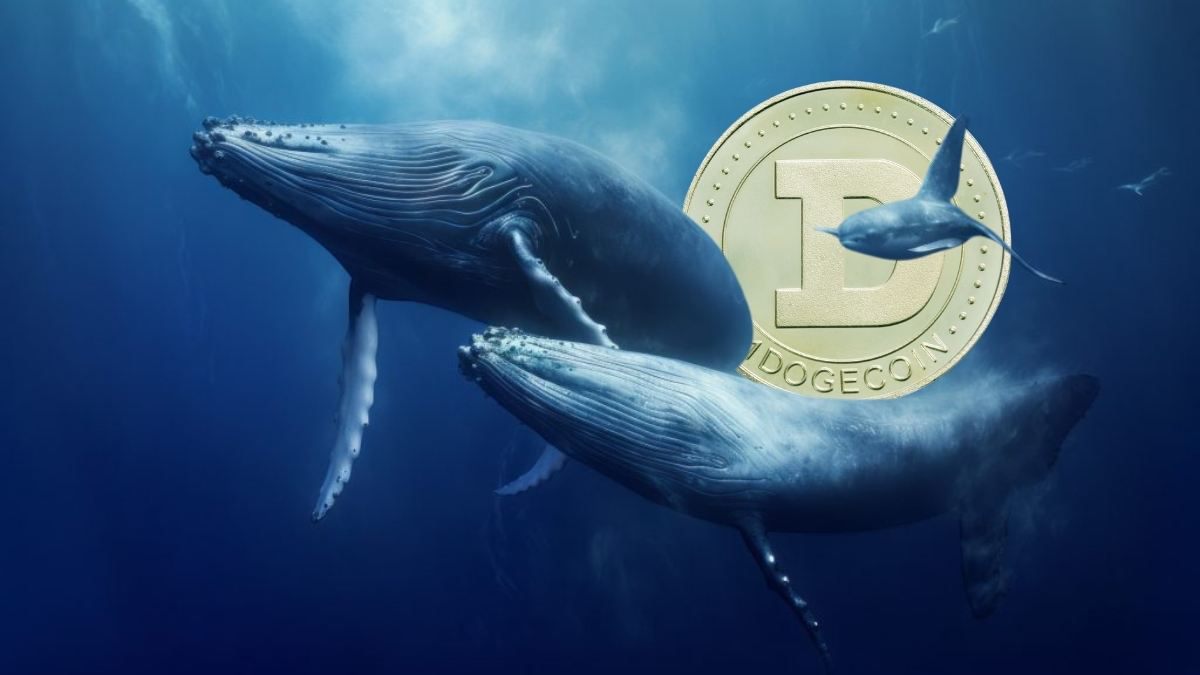 coinmag