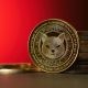 $3,000, инвестированные в Shiba Inu в 2024 году, сгенерили убыток $791