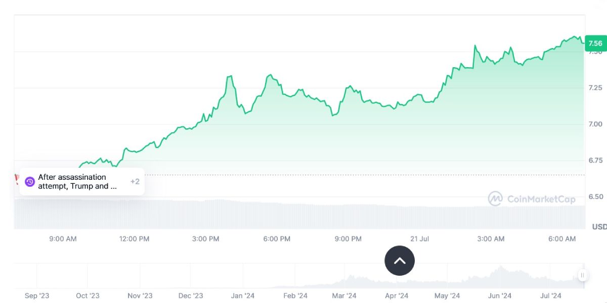 maga-price-pump-musk