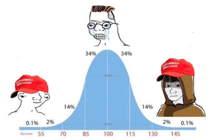 musk-maga-post