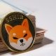 За сутки на криптобиржи поступили Shiba Inu (SHIB) на сумму $75 млрд