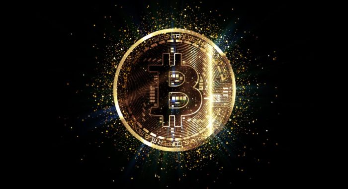 Мэр Ванкувера предложил добавить биткоин на муниципальный баланс