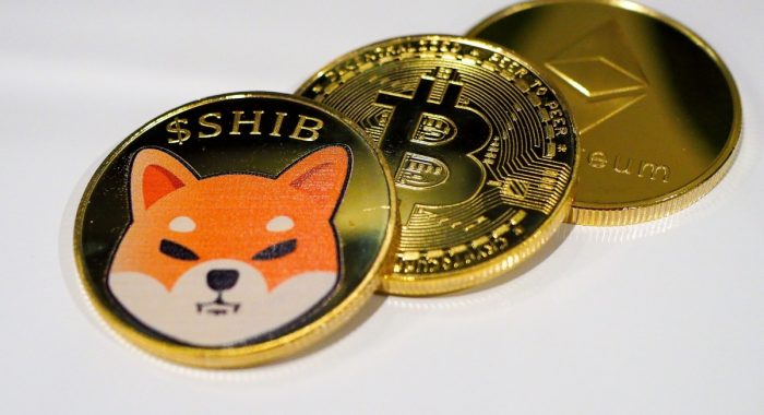 Base Dawgz привлёк $2,8 млн, поскольку в июле сеть Base выросла на 56%