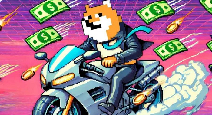 До конца предпродажи PlayDoge осталось 6 дней – что ждёт мемкоин дальше?
