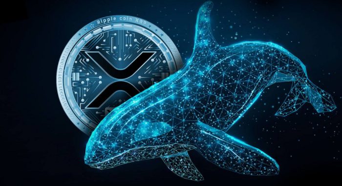 Криптовалютные киты избавляются от XRP рекордными темпами