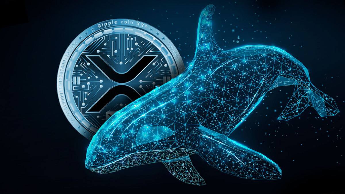 coinmag