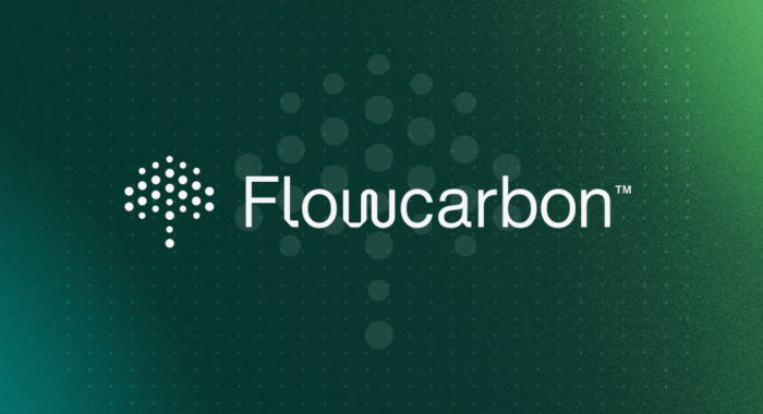 Не выпустивший токены стартап Flowcarbon возвращает деньги инвесторам