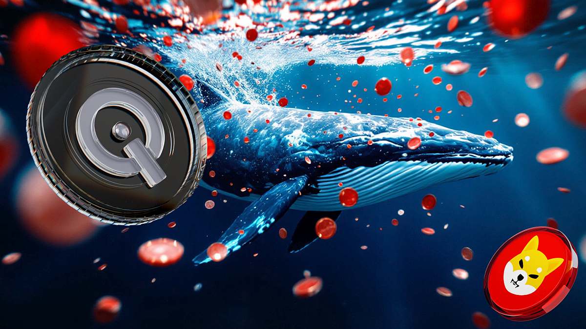 coinmag