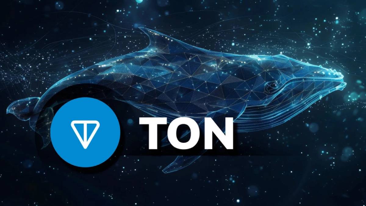 coinmag