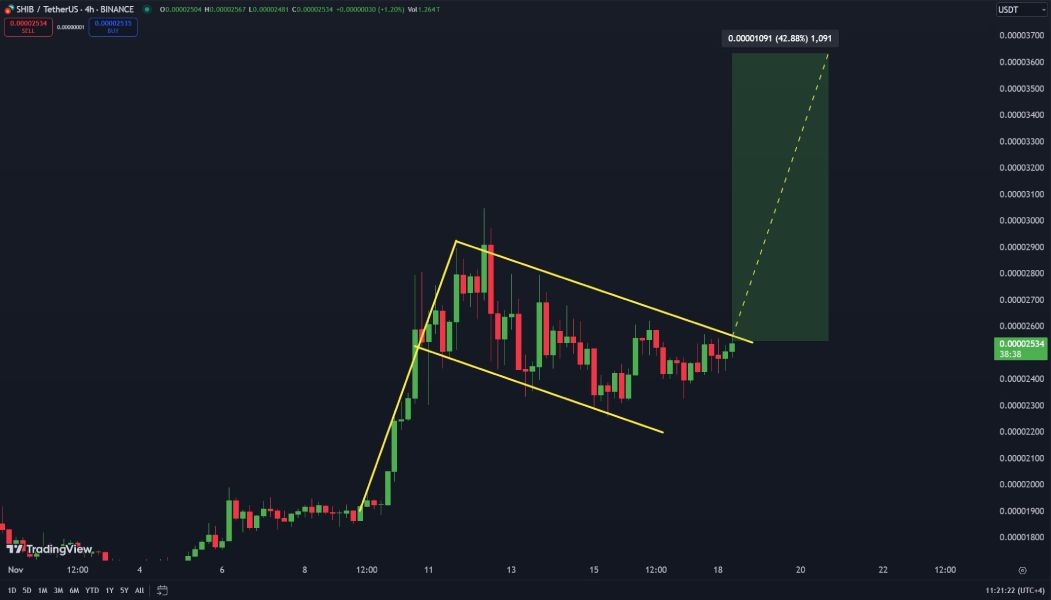the-moon-show-shib-flag