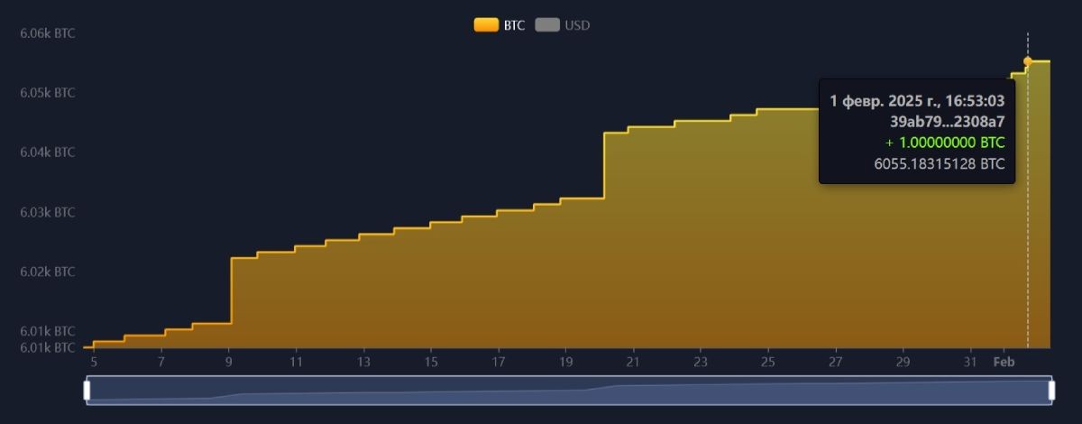 salvador-btc-balance-increase