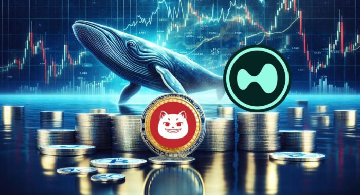 Перевод 3 млн $USDC в $HYPE добавил оптимизма, как реагирует $CATZILLA?