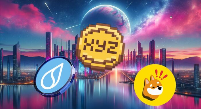 Потенциально самые рентабельные криптовалюты 2025: SUI, BONK и XYZVerse