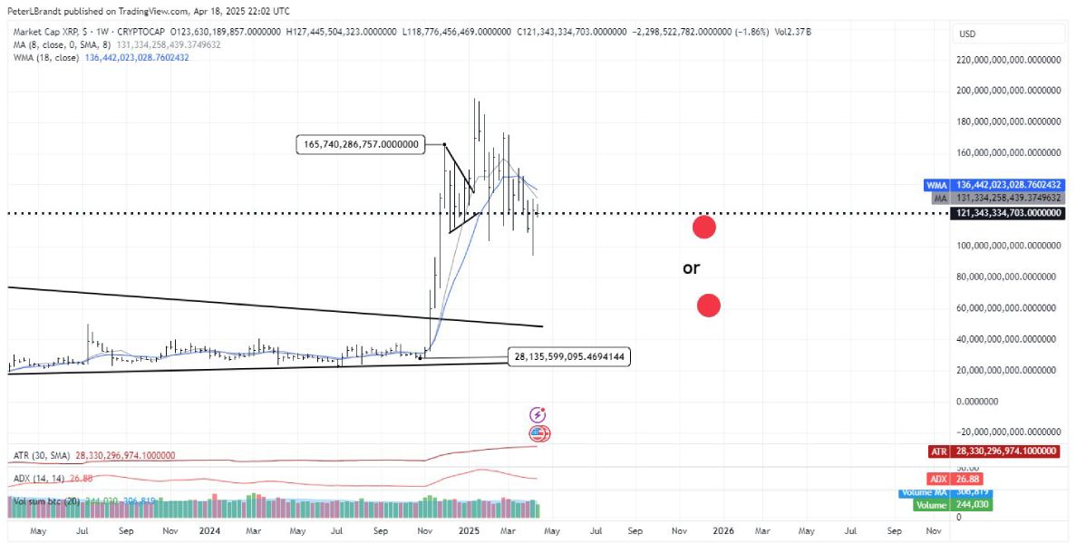 xrp-prediction-2025-brandt