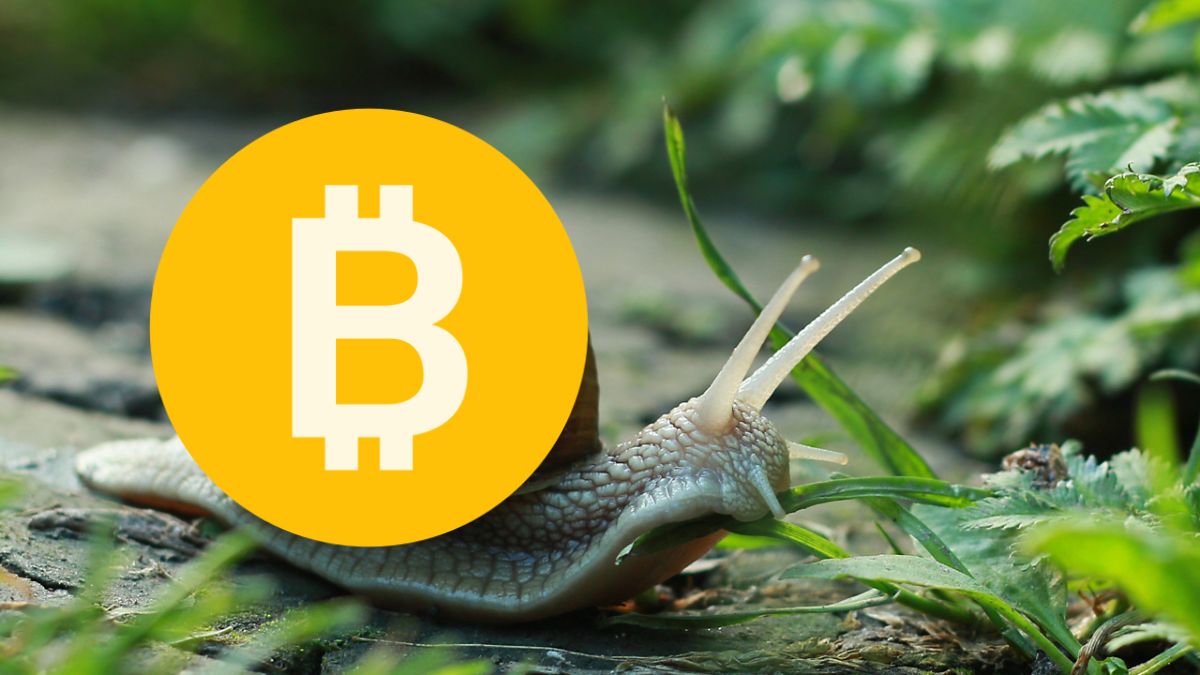 coinmag
