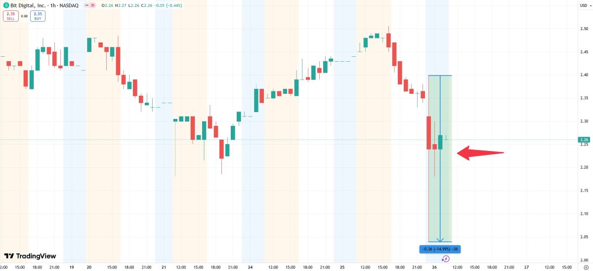 bit-digital-stock-crash