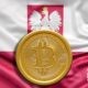 Глава Олимпийского комитета Польши задержан по делу о коррупции с Zondacrypto