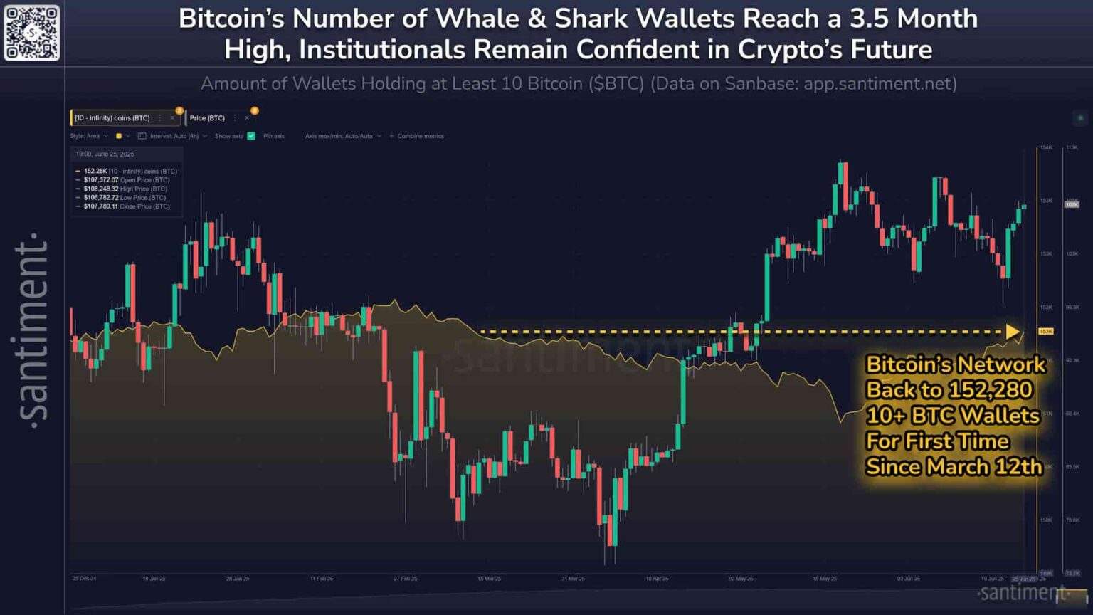 bitcoin-shark-1536x864