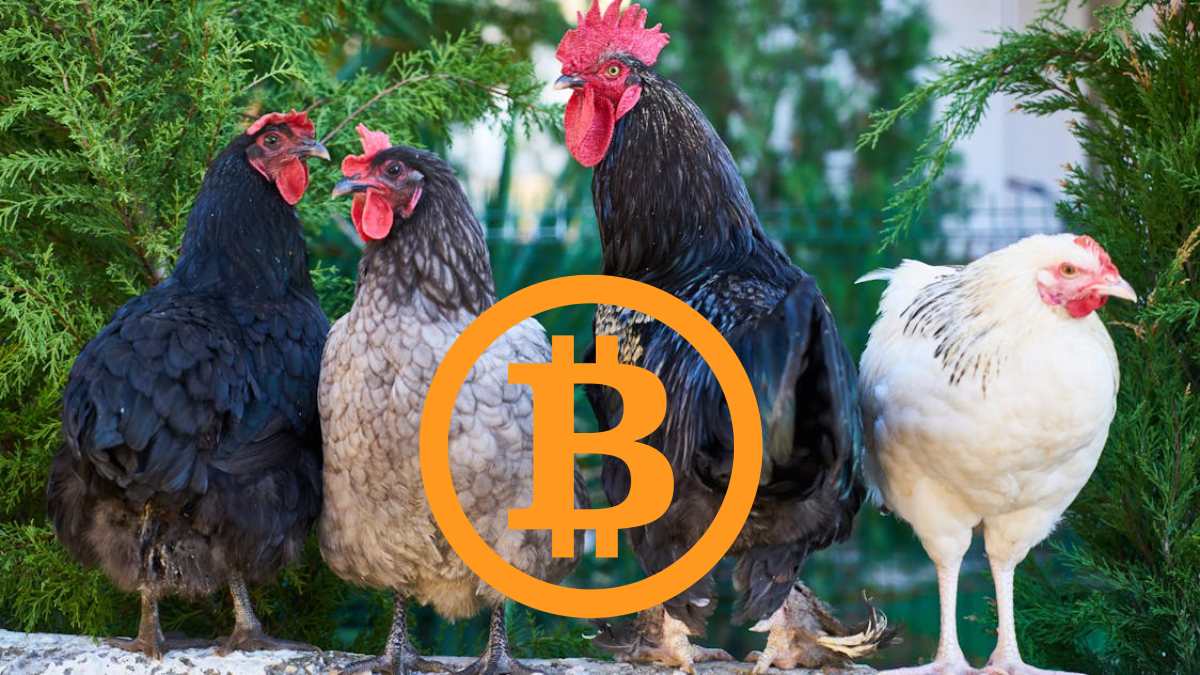 coinmag
