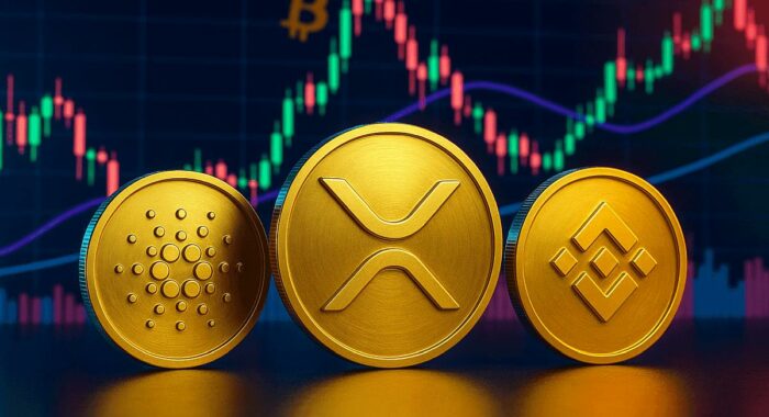 Вслед за биткоином растут Cardano, XRP, BNB и новый мемкоин