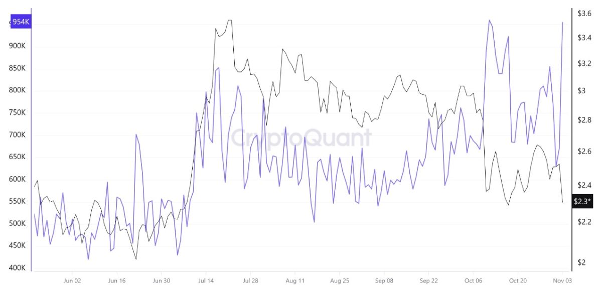 xrp-dex-transavtions-november