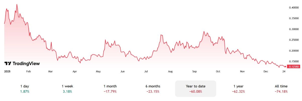 doge-price-2025