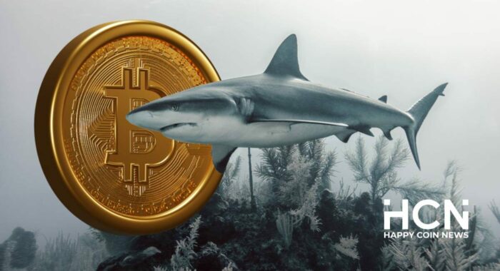 За неделю биткоин-акулы с балансами 100-1000 BTC купили более 54,000 монет