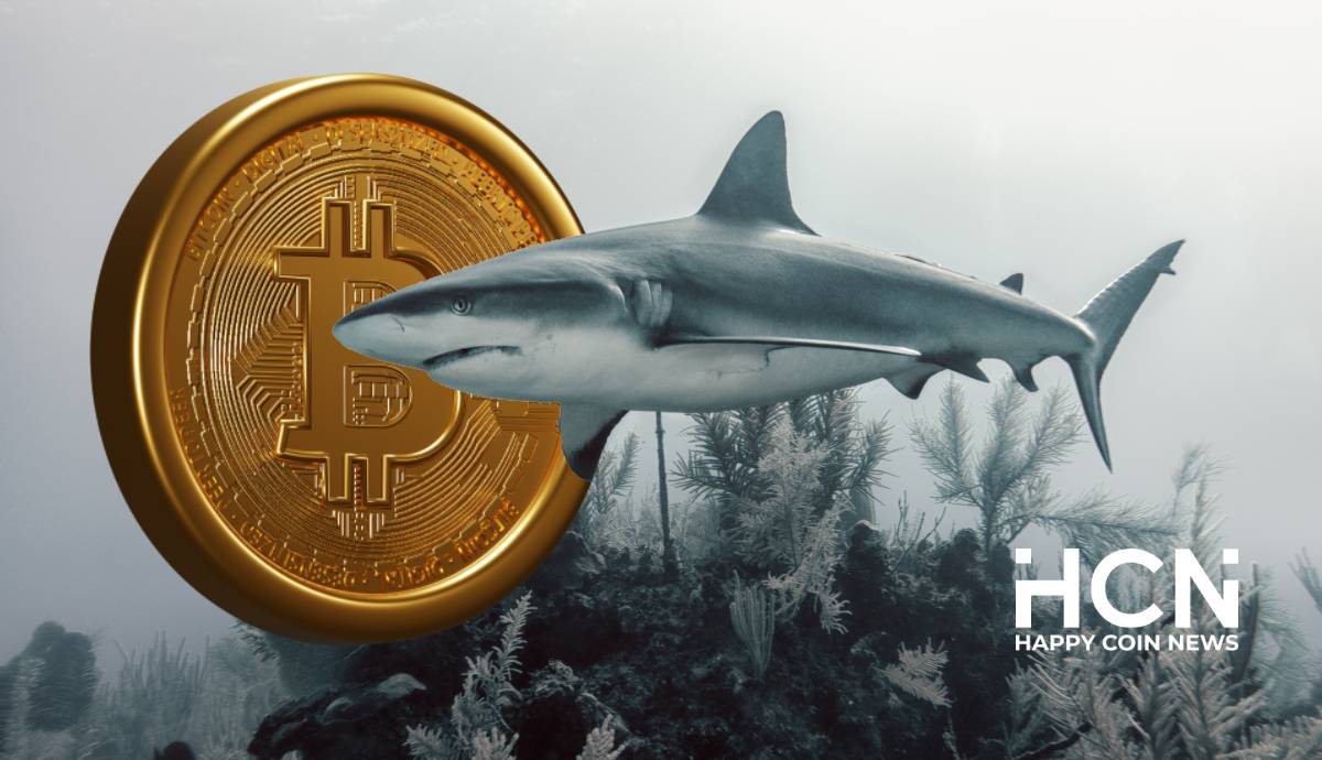coinmag