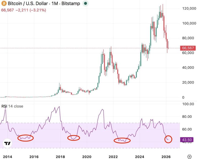 btc-price-vivek-sen