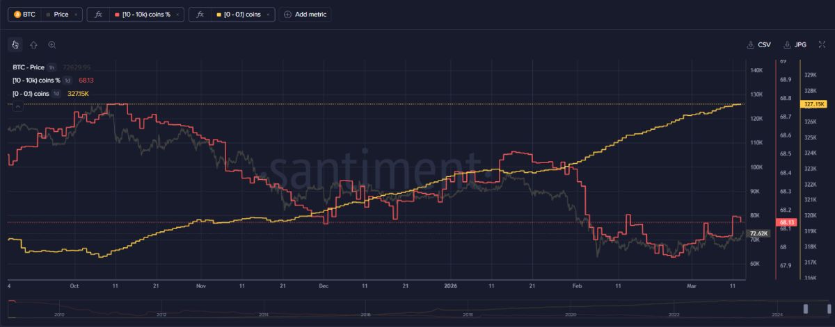 btc-whales-fish-flows-15-march