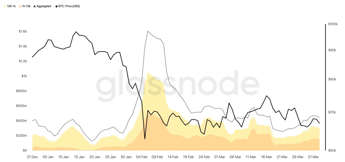 sharks-whales-btc-realized-losses-q1-2026