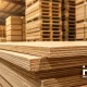 С начала торговли древесиной на крипторынке её стоимость упала на 35%