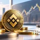 HCN AI Analyst: BNB может снизиться до $686 через 30 дней