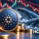 Крупные держатели Cardano сократили запасы на 110 млн ADA за пять дней