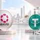 Команда Polkadot запустила стейблкоин dotUSD без эмитента, но привязала его к USDT