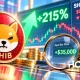 Приток капитала в Shiba Inu вырос на 215%, но что скрывается за этой цифрой